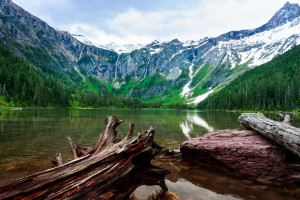 Logs on the shore of Avalanche Lake in Glacier national park