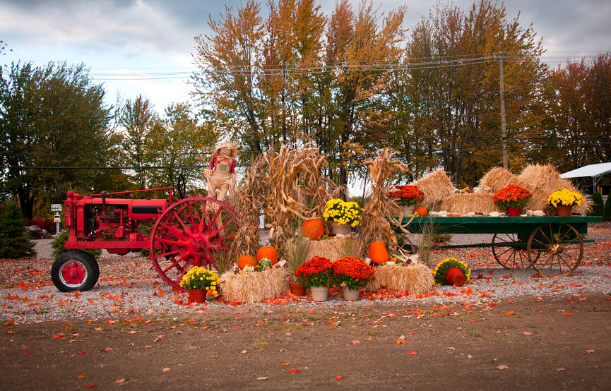 Top Three Things to do in Fall in Kalispell