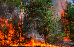 Flathead Community College Lecture Series: Preparing for Wildfire Season in Northwest Montana